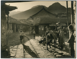 Mules by a farrier's posts, beside a stone-paved road in a village, with onlookers