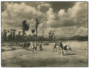 Men with muleteers and mules crossing a dry flood plain after flooding