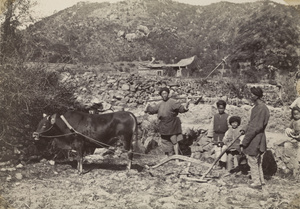 An ox-drawn plough posed with farmers and children, Fujian province