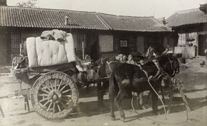 Laden Peking cart