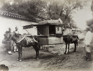 Mule litter, Peking