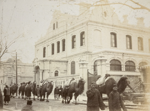 Bactrian camel train, and log sawers, outside the Hongkong and Shanghai Banking Corporation premises, Beijing