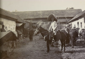Chinese secretary on horseback