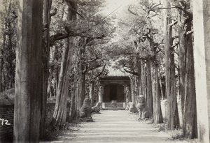 Approach to the Tomb of Confucius, Qufu