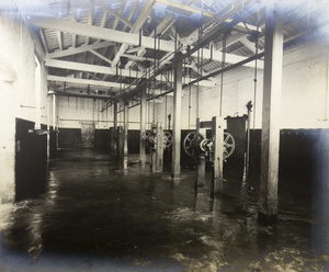 Interior view of the cattle slaughterhouse, Hong Kong