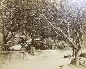 An intersection, probably in Hong Kong Zoological and Botanical Gardens