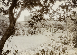 View of the Montain Lodge from under  tree, Victoria Peak, Hong Kong