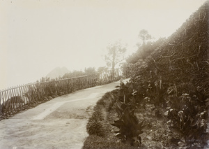 A mountain path with bamboo rails, Hong Kong