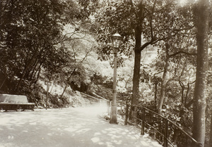 Path and lamp post, probably going up the Peak, Hong Kong