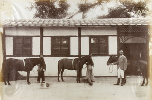 Oswald's horses: 'Uplands', 'Musket' and 'Roulette', with grooms