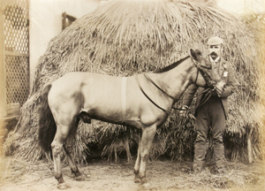 The champion racehorse 'Yana', in Foochow, March 1895