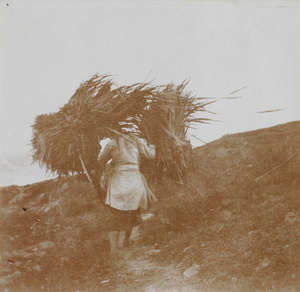 Woman with grass for winter fuel, Kuliang