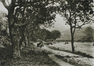 A road beside a field