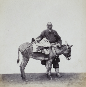 An old man with his mule