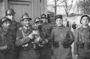 French army soldiers with a puppy
