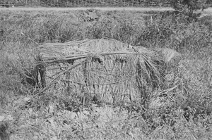 A temporary grave covered with reeds, Pootung, Shanghai