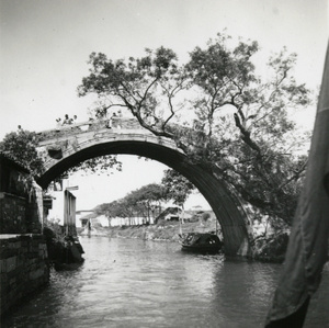 Bridge and tree