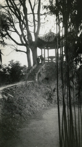 Pavilion and bamboo