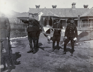 British officers, with signal flags, 1st Chinese Regiment, Weihaiwei