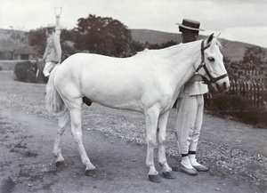 Liveried man with a horse called 'Naaman'