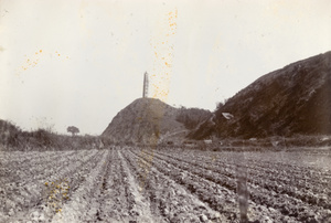 Pagoda and field at Tinhong