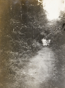 Four Europeans on a wooded road