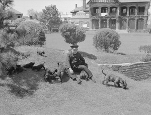 Man with puppies and dogs, Shanghai, 1938