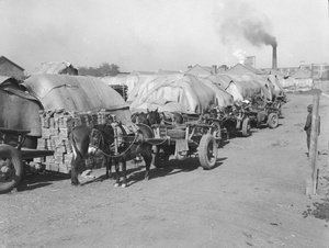 Donkey carts and store, Taku, 1940