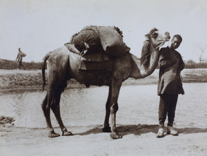 A cameleer and camel