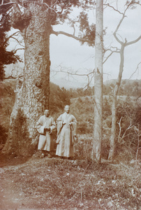 Two monks by a tree at Jiaoshan (焦山 'Silver Island'), Zhenjiang (鎮江)