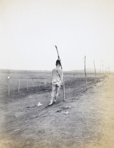 An executed man tied to a post by his queue