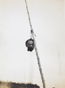 The head of an executed man, tied to a post
