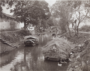 Boats loaded with hay moored in a creek